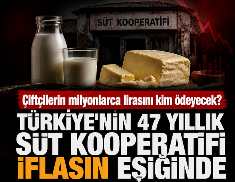 Türkiye'nin 47 yıllık süt kooperatifi iflasın eşiğinde: Çiftçilerin milyonlarca lirasını kim ödeyecek?