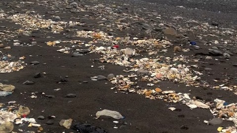 İki günlük yağmurla gelen çöpler kıyıya vurdu