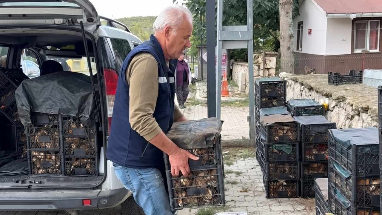 İstanbul'un dibinde bedava toplayıp servet kazanıyor: İtalyan ve Fransızlar kapış kapış alıyor