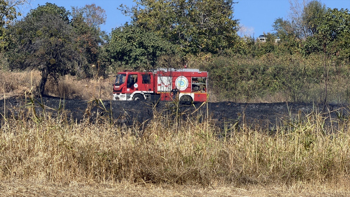 Tekirdağ'da otluk alanda yangın; ekipler bir kaplumbağayı da kurtardı