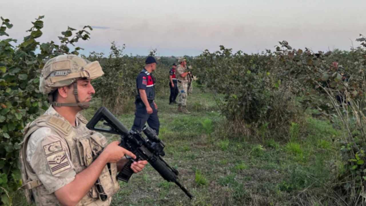 İzinle ekildi jandarma hasat etti: Boyu 4 metreye ulaştı, çöpü bile para ediyor