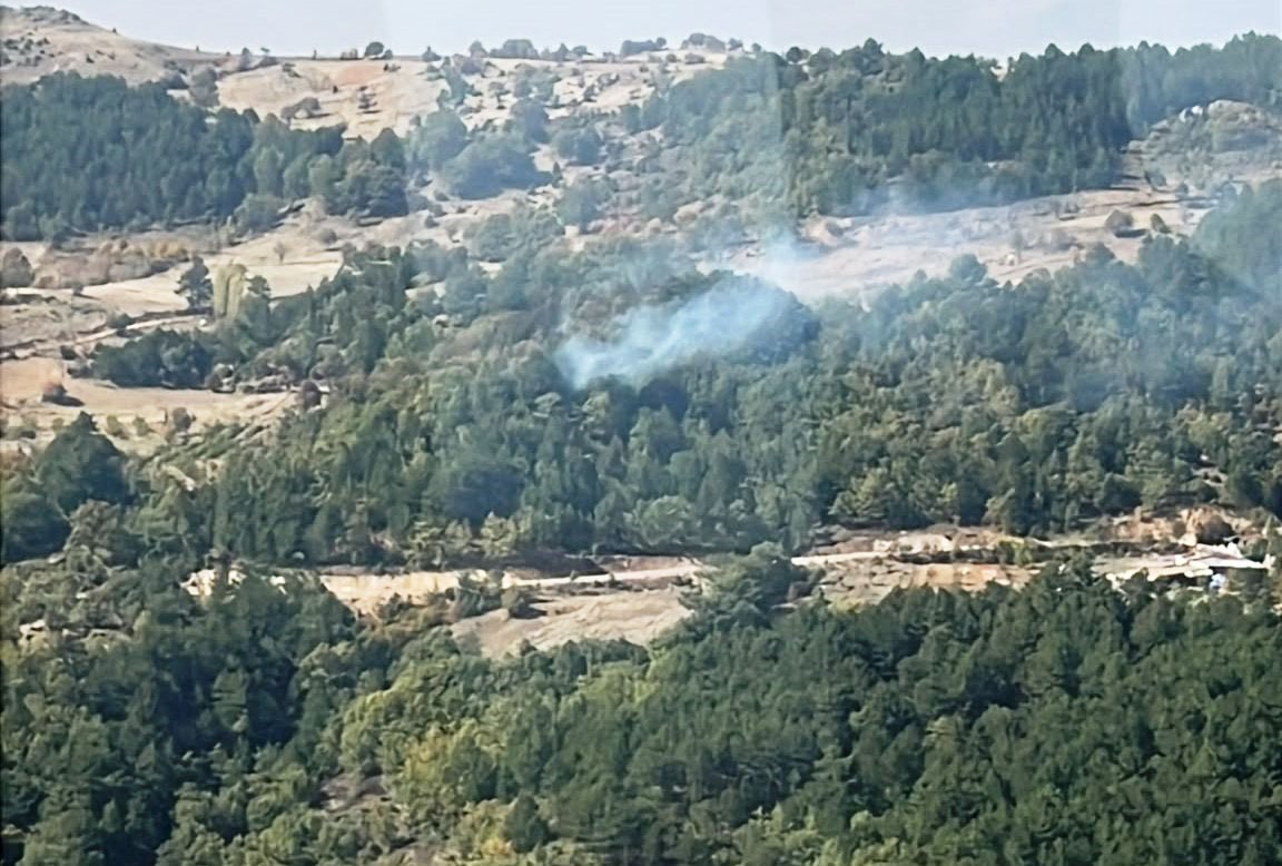 Kütahya'da otluk alandaki yangın ormana sıçradı