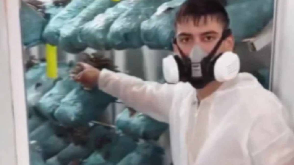 Avukatlık cübbesini çıkardı yeni mesleğe başladı: Aylık 250 bin lira kazanıyor
