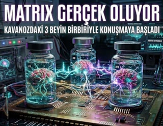 Kavanozdaki 3 beyin birbiriyle konuşmaya başladı: Matrix gerçek oluyor