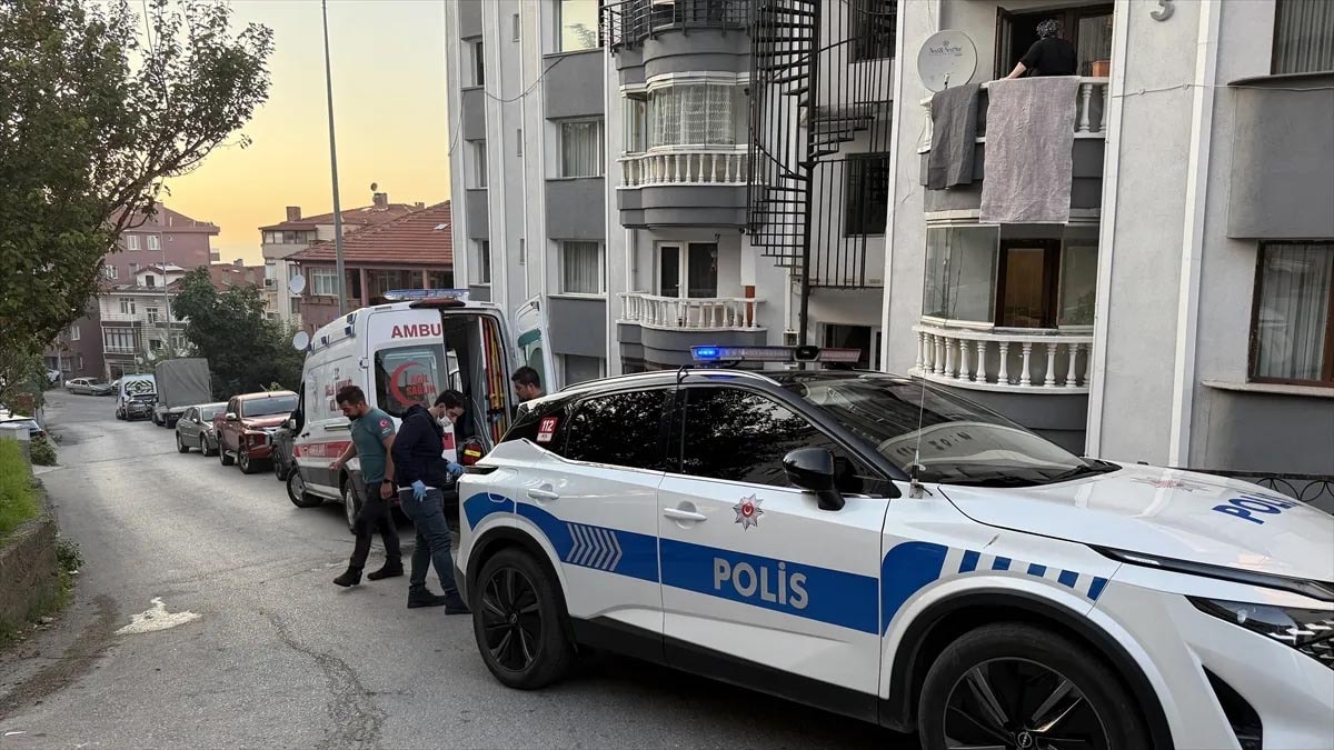 Bir sürü yarasa aniden evin içine doldu! Ne yapacaklarını şaşırdılar