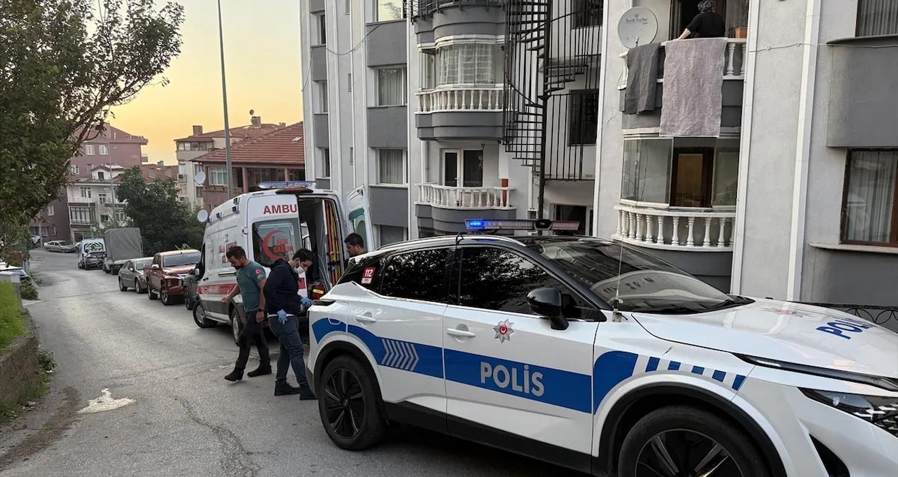 Bir sürü yarasa aniden evin içine doldu! Ne yapacaklarını şaşırdılar
