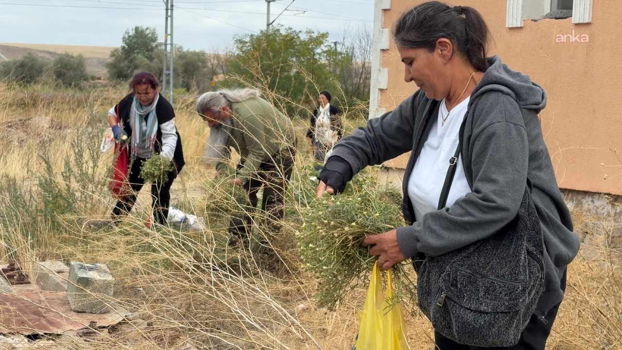 Nazardan koruyor tanesi 60 liradan kapış kapış satılıyor