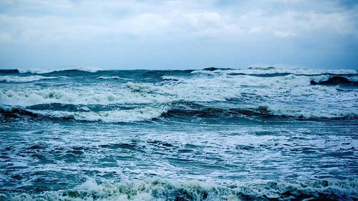 Okyanusta kaybolan ördekler yıllar sonra farklı kıyılarda ortaya çıktı