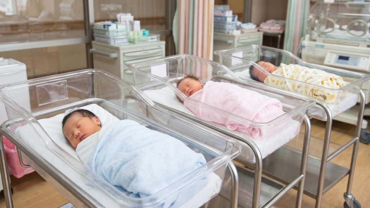 Parayla bebek satışı başladı: Zekasını ve boyunu katalogdan seçiyorlar