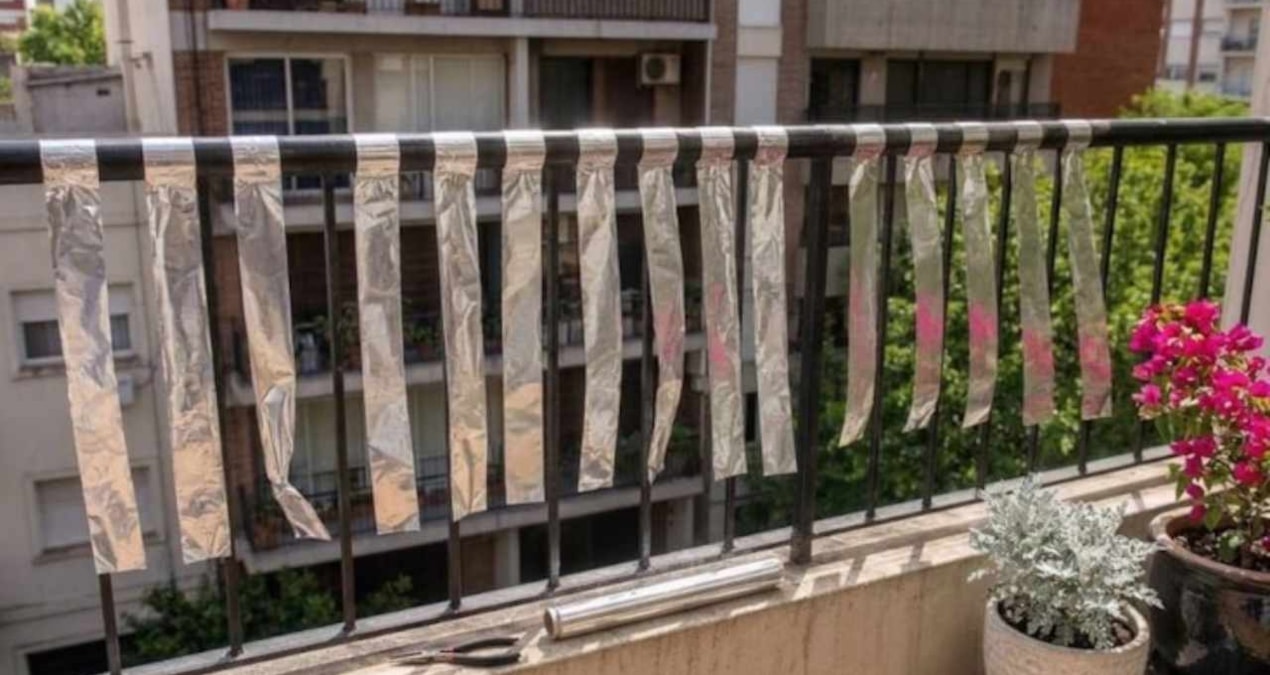 Pazartesi günü balkon demirlerine alüminyum folyo sarın çağrısı