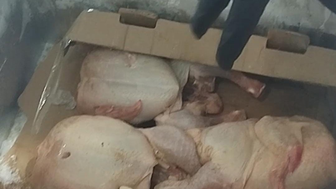 Restoranda yapılan denetimde mide bulandıran görüntüler