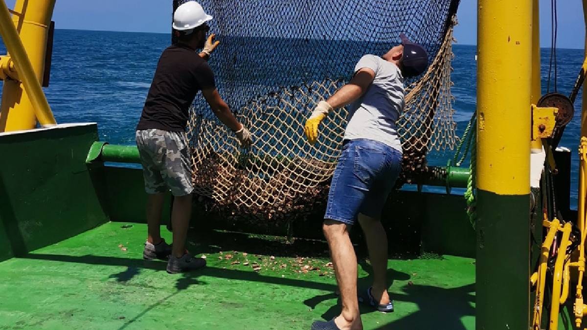 Denizden 14 milyon dolarlık servet toplandı: En çok satın alan ülkeler belli oldu