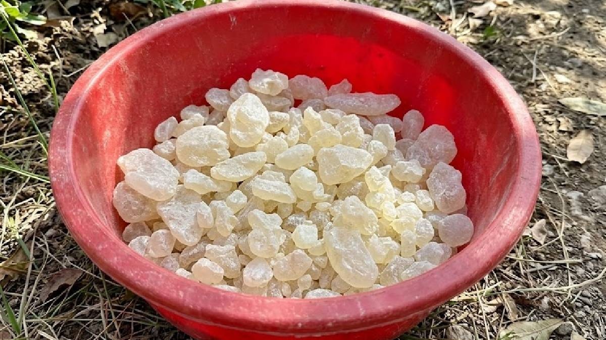 Türkiye'de sadece İzmirliler biliyor: Kilosu 50 bin lirayı geçti