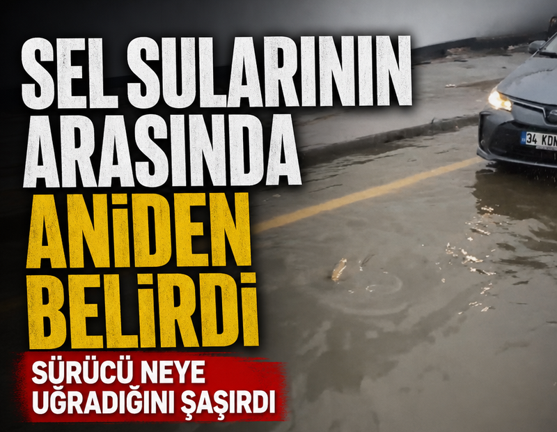 Sel sularının arasında aniden belirdi! Sürücü neye uğradığını şaşırdı
