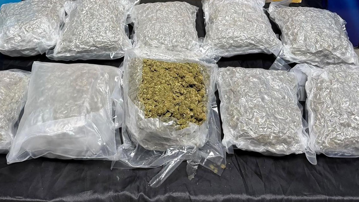 Siirt'te uyuşturucu operasyonu: 5 kilo 600 gram skunk ele geçirildi