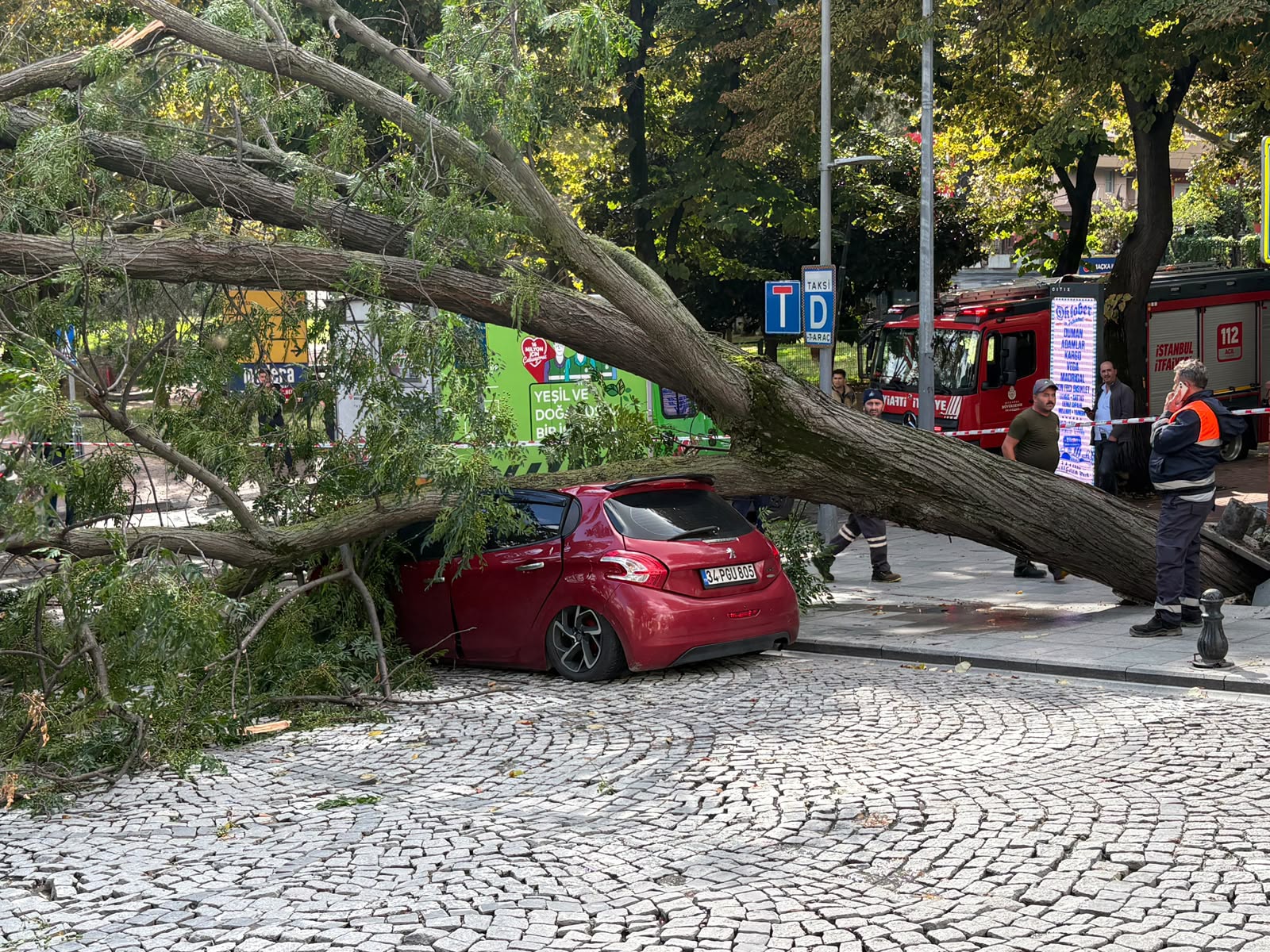 Harbiye'de korkutan anlar! Ağaç park halindeki otomobilin üzerine devrildi