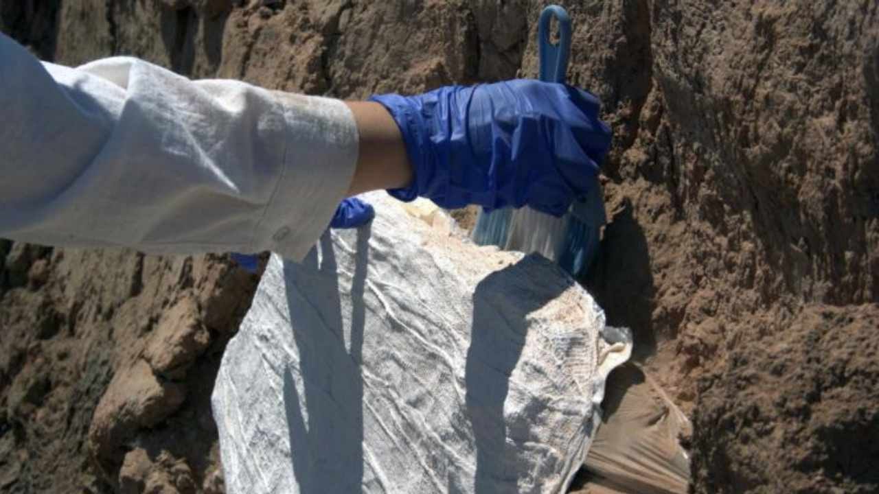 Sivas’ta hazine bulundu: İçinden salgın hastalık çıktı