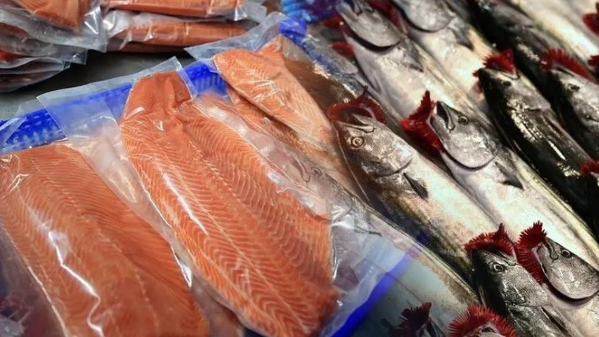 Somon ve palamuttan 10 kat fazla omega-3 içeren 5 besin
