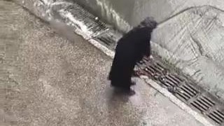 Sosyal medya İstanbul'daki bu görüntüyü konuşuyor