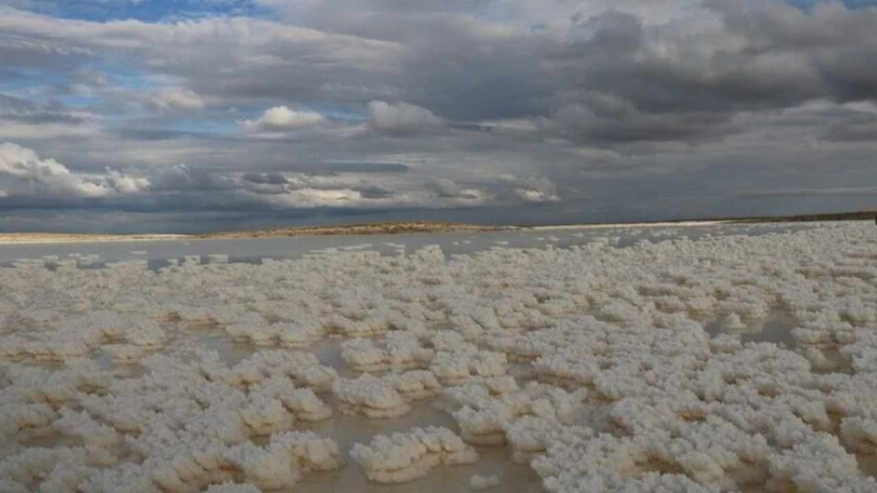 Sular çekilince altından çıktı: 1 ay boyunca adım adım takip ediliyordu