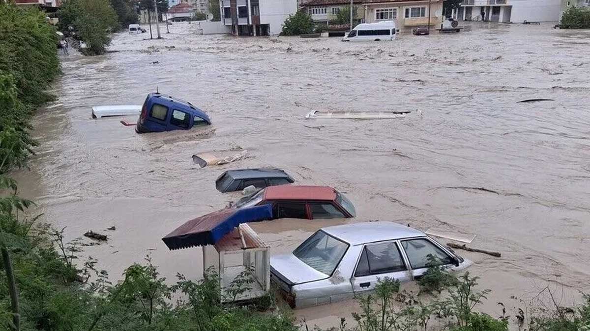 Toprağın suya doygun olması ne demek, toprak suya doyarsa ne olur?