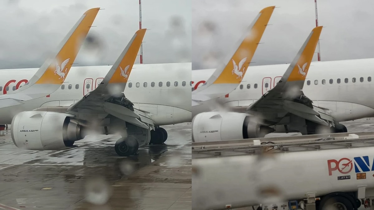 İstanbul'dan kalkan uçak sürüye çarptı: Kanadını görenler şoke oldu