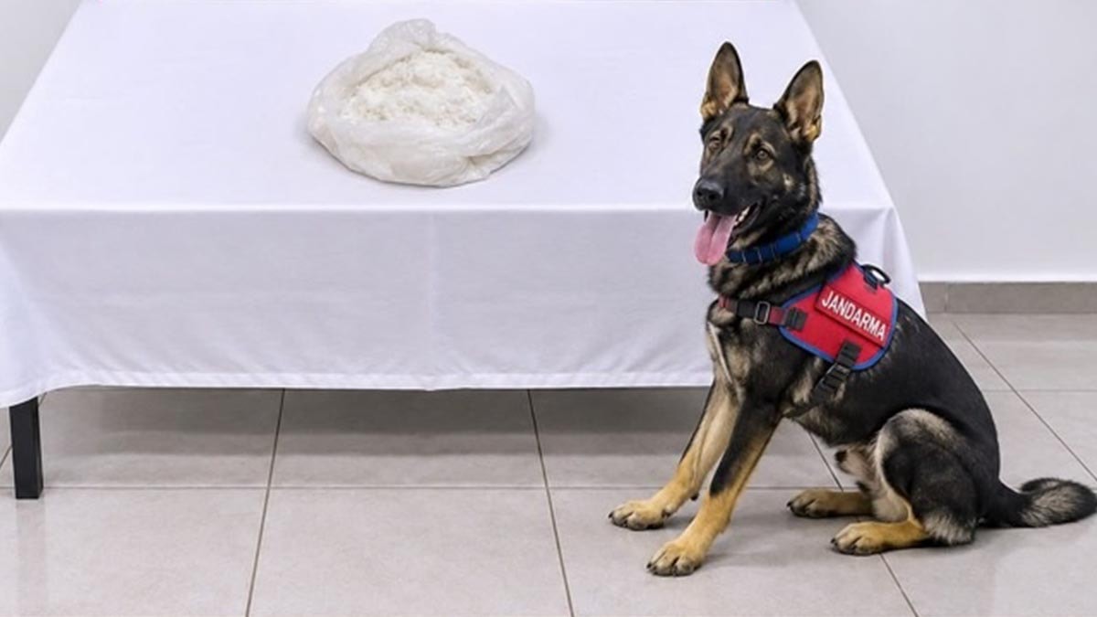 Van’da yolcu otobüsünde 1 kilo metamfetamin ele geçirildi