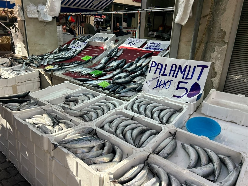 İnebolu’da palamudun tanesi 40 liraya kadar düştü