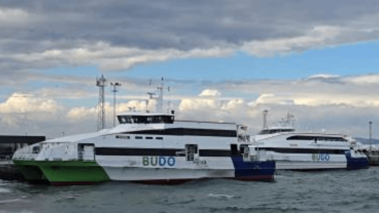 Deniz ulaşımına fırtına darbesi: Bursa-İstanbul BUDO seferleri iptal edildi