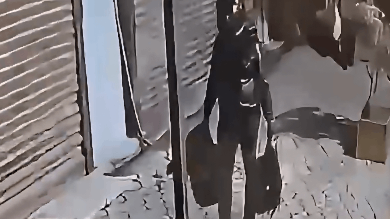 Kuyumcu dükkanını soymaya çalıştı, yakalanmadan öldü