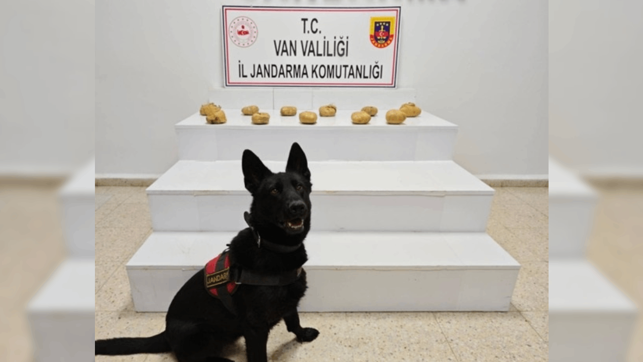 Arazideki gizli çuvallardan zehir fışkırdı!