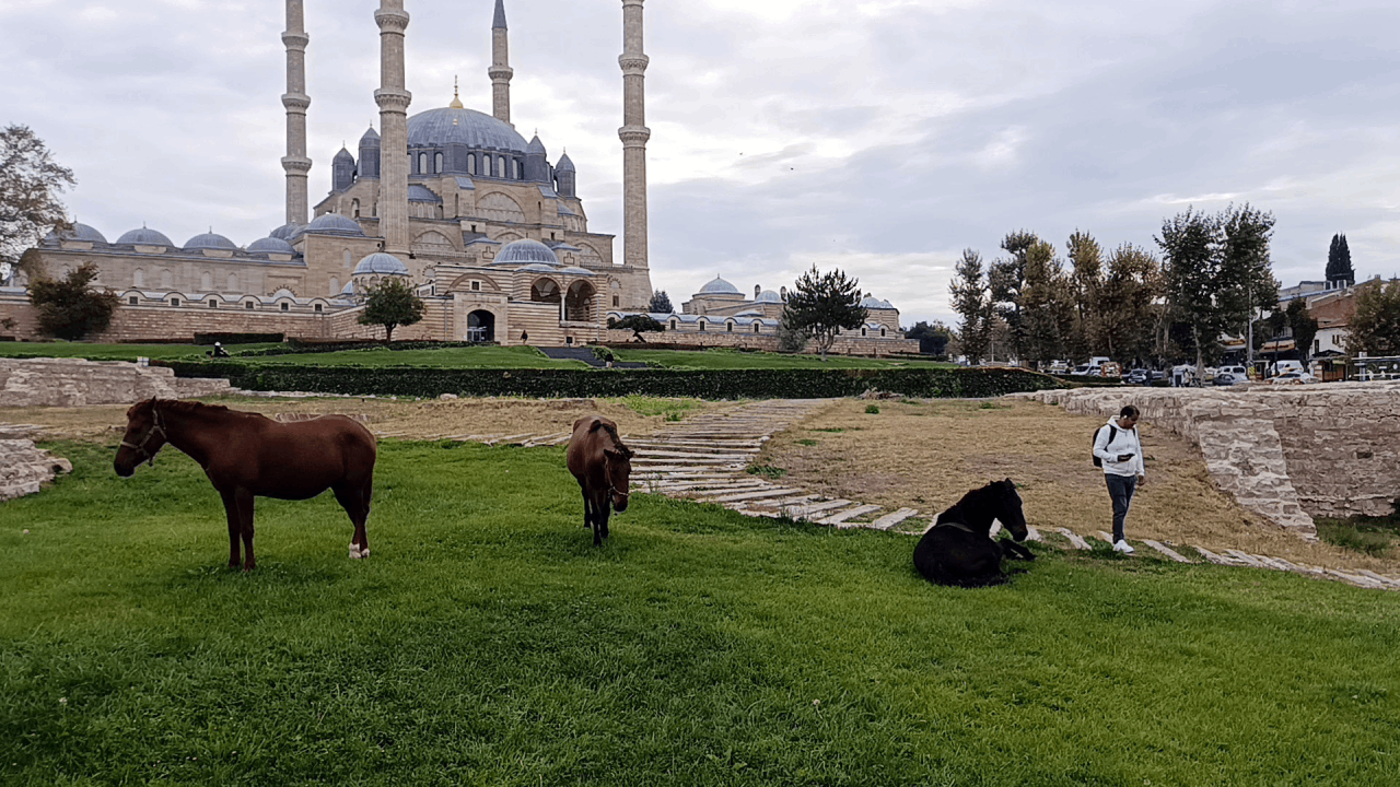 Selimiye Camisi meydanını atlar bastı