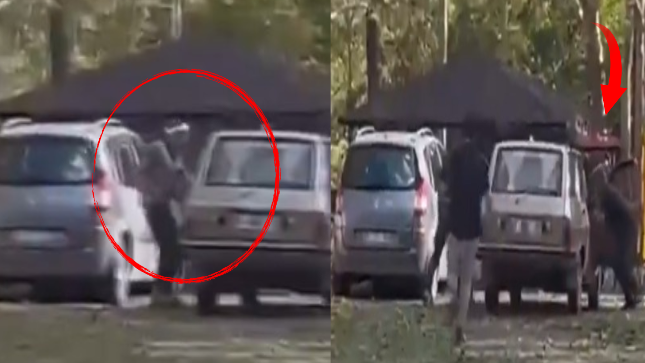 Kadın katili cellat böyle yakalandı! 22 yaşındaki Sevda'yı ailesinin önünde öldürdü...