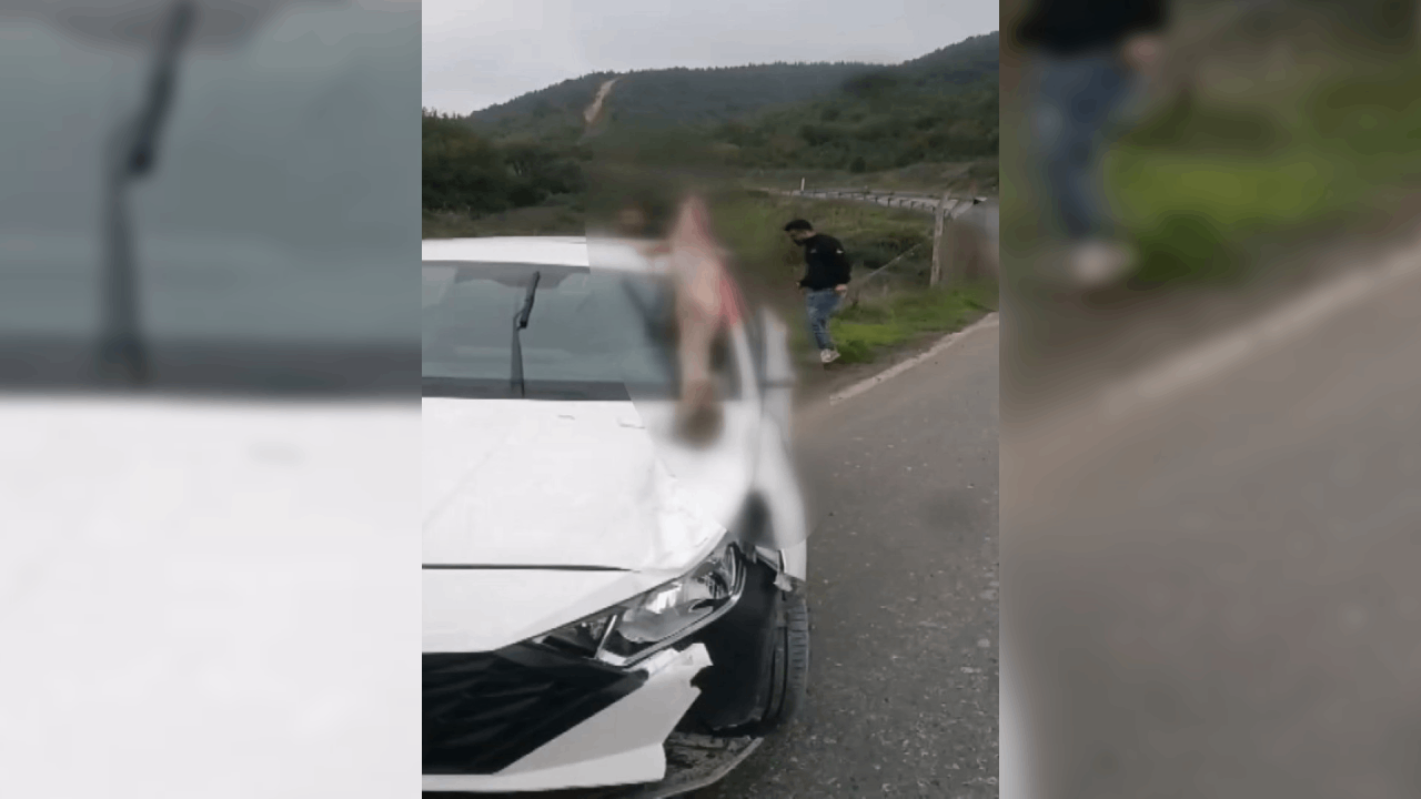 Arnavutköy’de korkunç görüntü! Otomobilin çarptığı at öldü, 3 kişi yaralandı