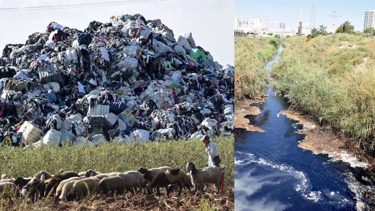 Avrupa'nın çöpünü toplayan Türkiye'de kanallar plastik doldu: Denizden balık çıkmıyor