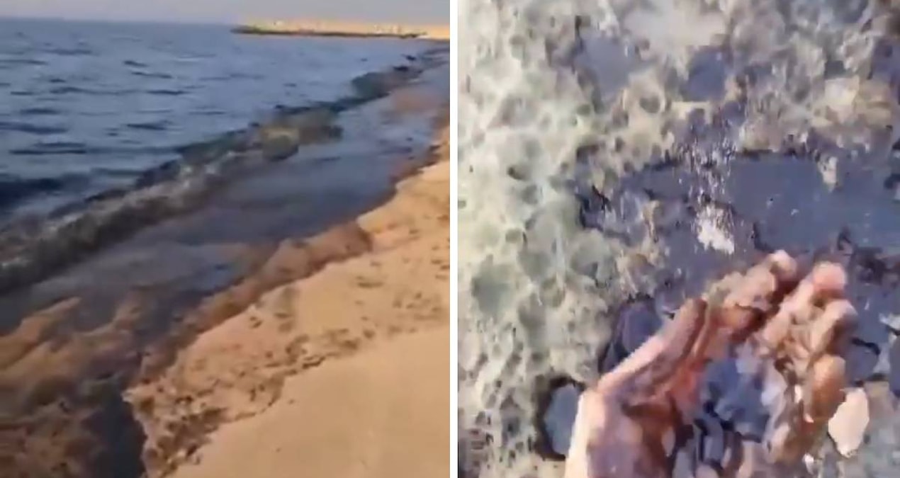 Ülkenin kıyıları siyaha büründü: Plaja gitmeyin uyarıları yapılıyor