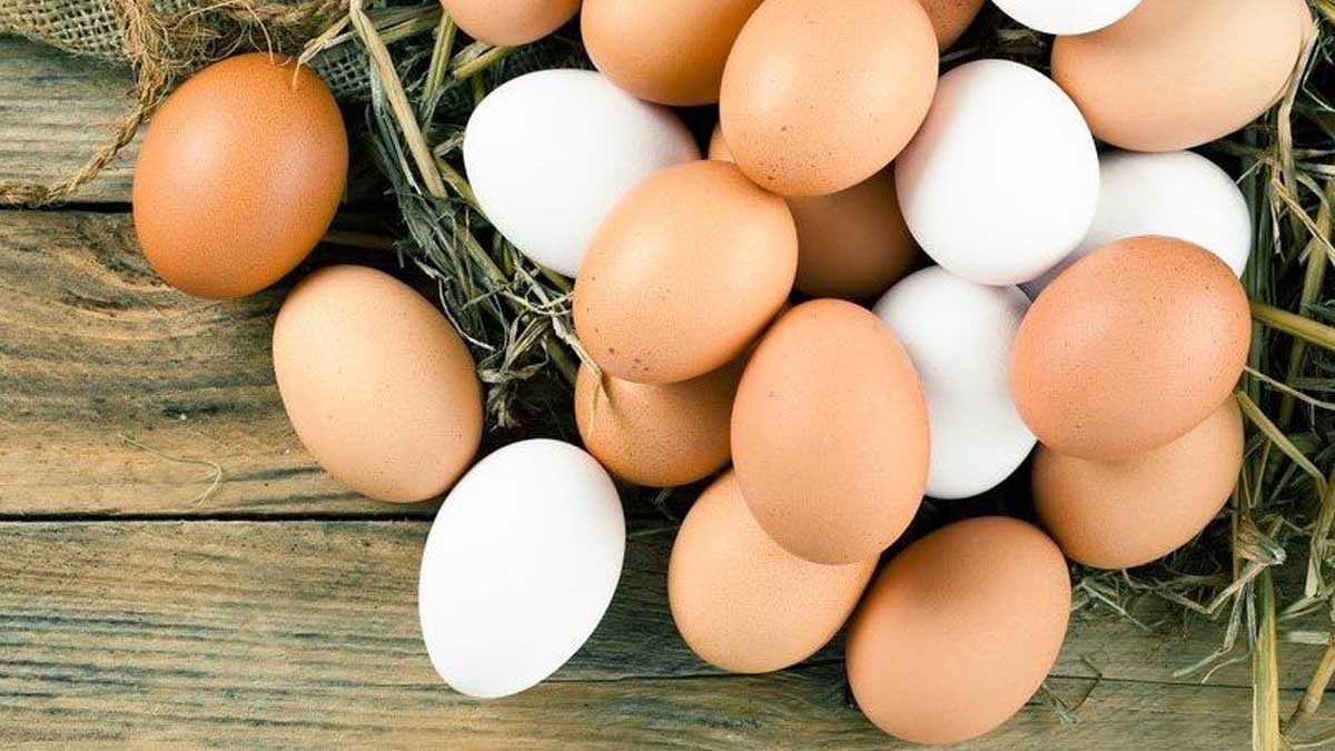 Beyaz yumurta mı yoksa kahverengi yumurta mı daha sağlıklı? İşte doğrusu