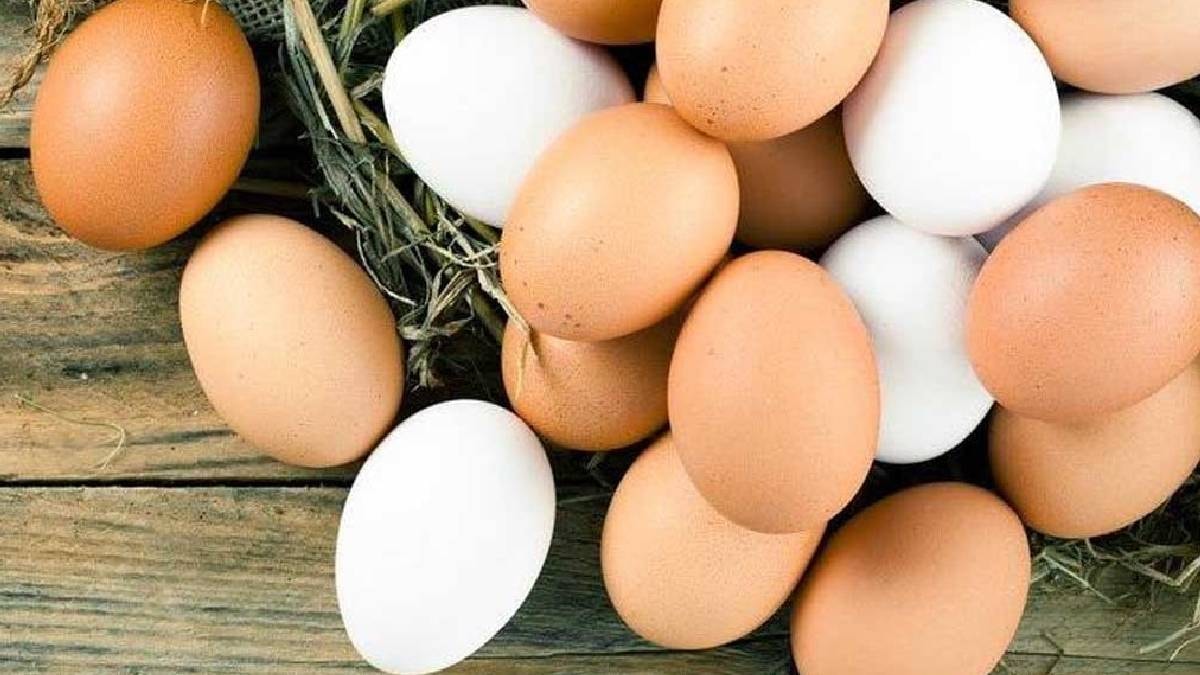 Taze yumurtayı bayatından saniyeler içinde ayıran yöntem: Kabuğunu kırmadan anlaşılıyor