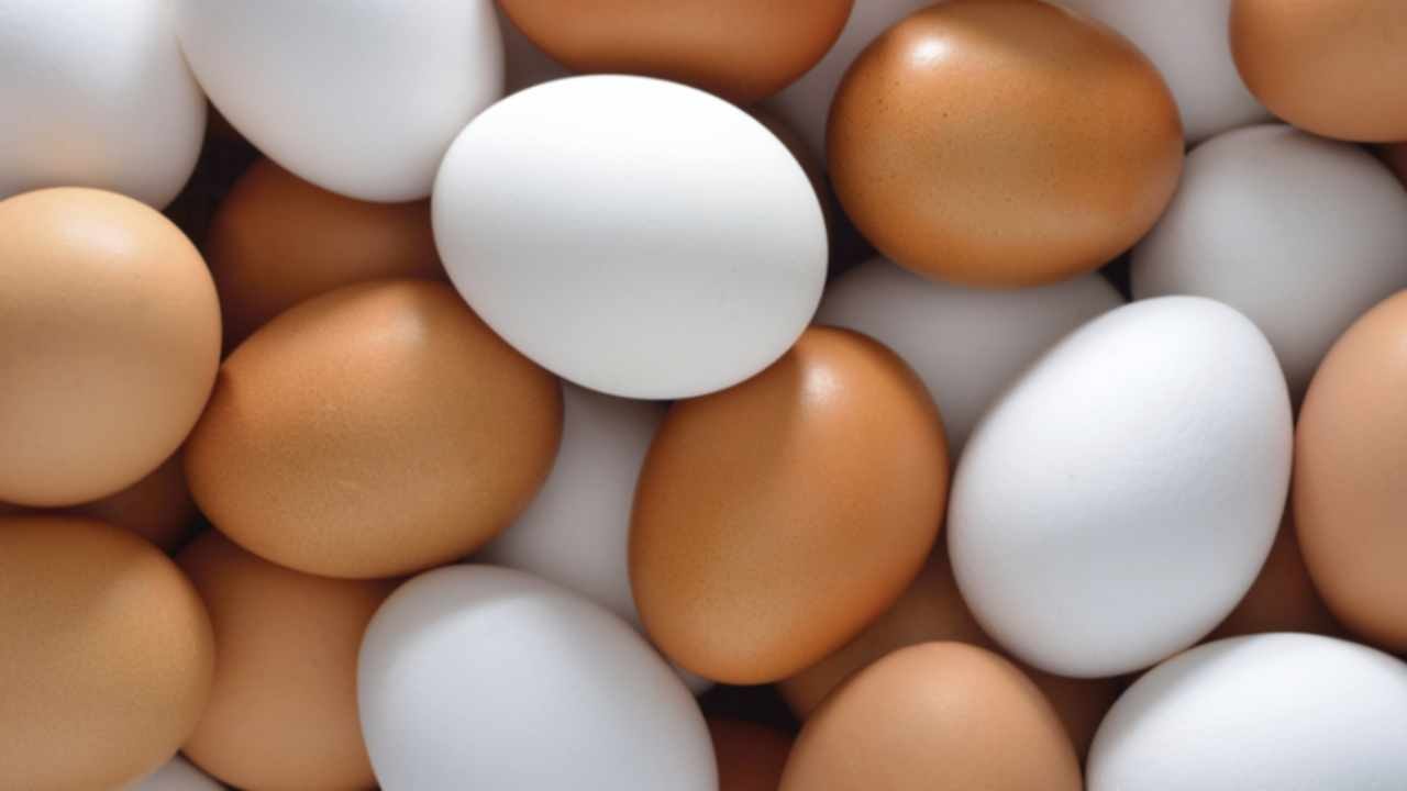 Yumurtayı en sağlıklı pişirme yöntemi