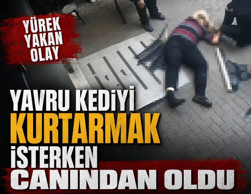 Yürek yakan olay: Yavru kediyi kurtarmak isterken canından oldu