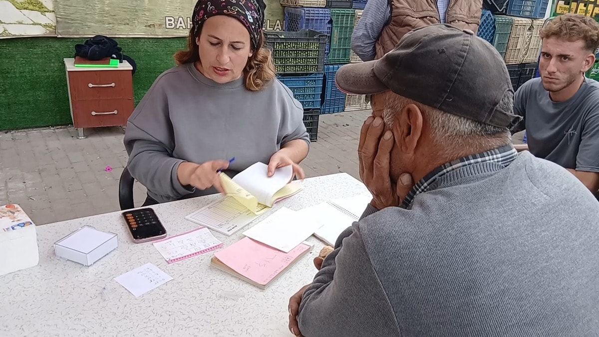 Zeytin 70 liradan 20-25 liraya düştü: 'Çiftçi yoksa biz yokuz'