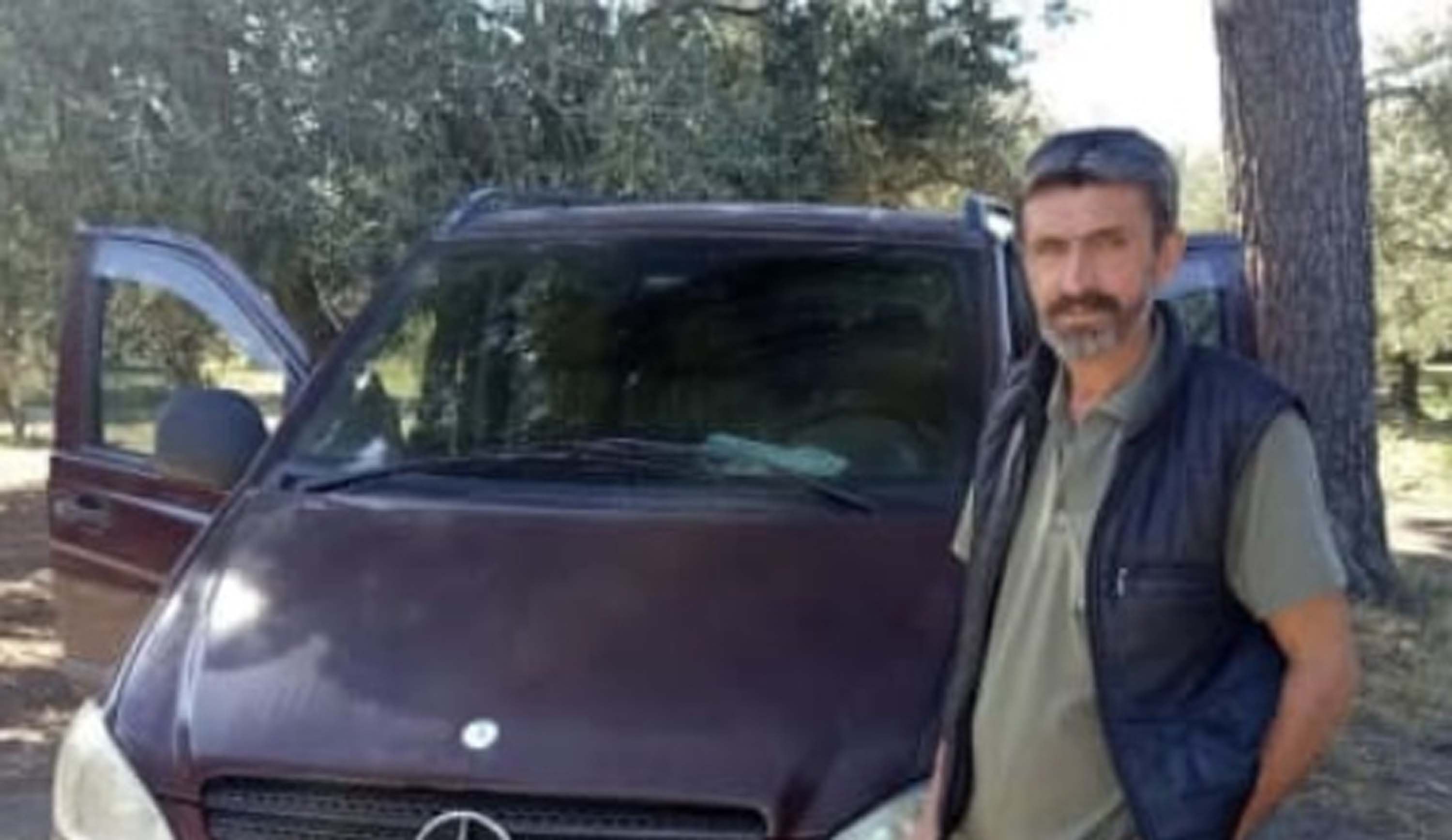 Arı soktu, olduğu yere yığıldı: Manisa'da zeytin hasadında acı olay