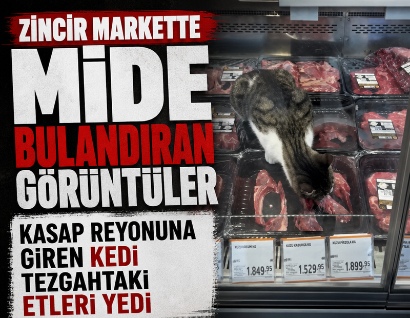 Zincir markette mide bulandıran görüntüler: Kasap reyonuna giren kedi tezgahtaki etleri yedi