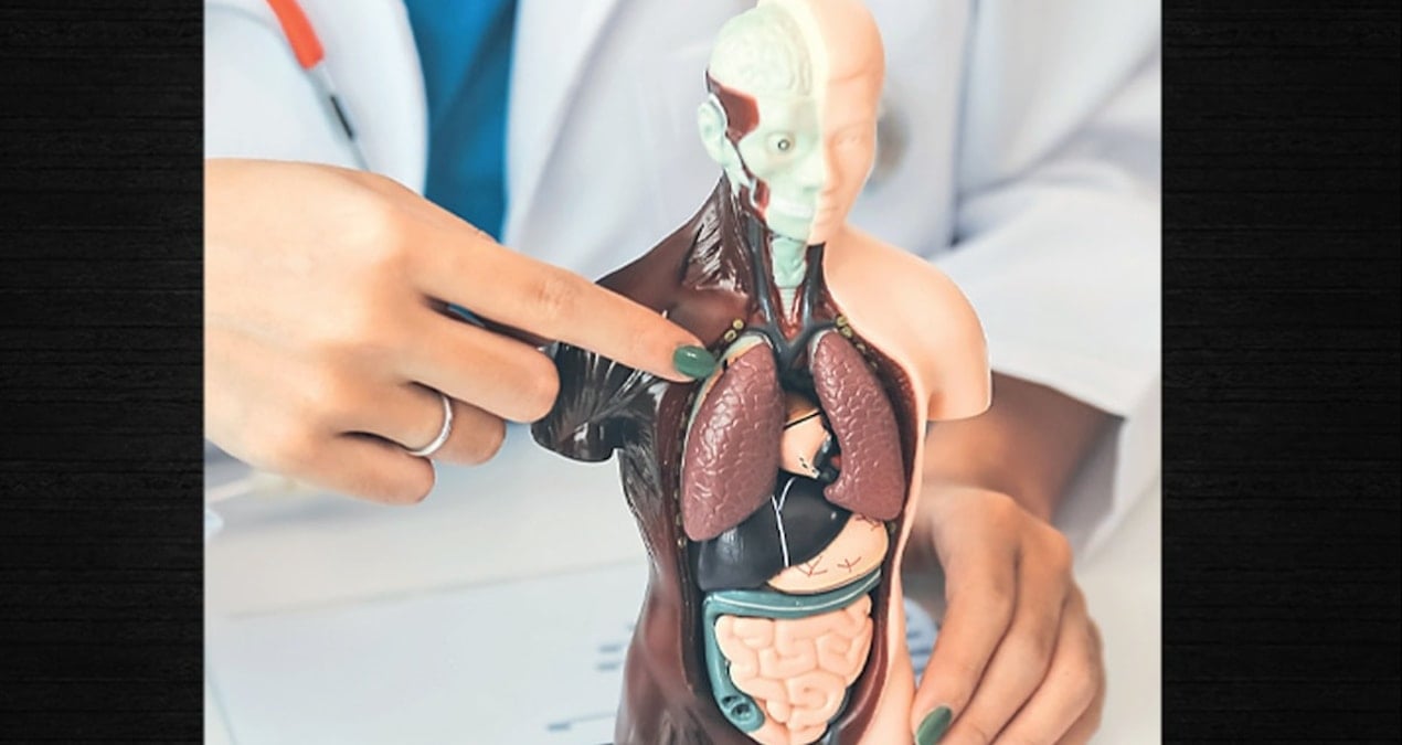 Karaciğeri bitiren nedenler