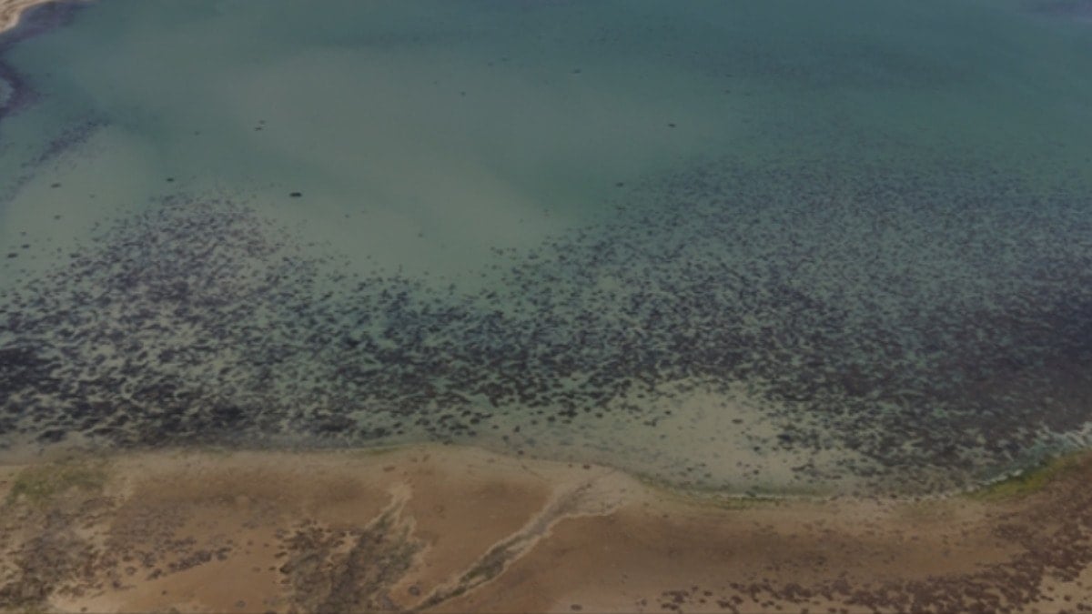 Konya'da barajlar doldu ama tehlike geçmedi: 10 bin yıllık fosil suları kullanıyoruz
