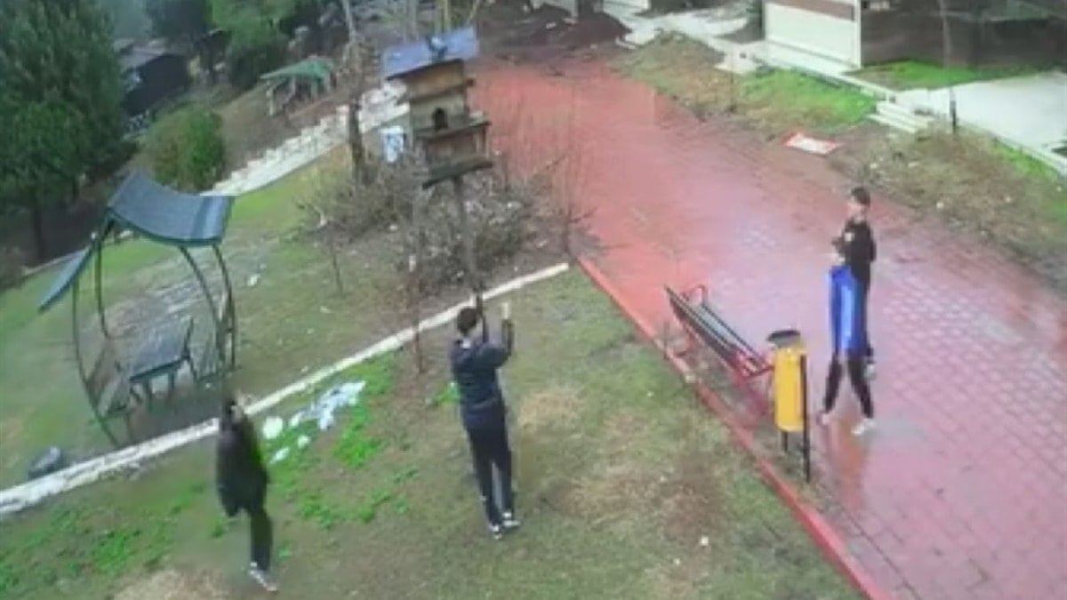 Parktaki kuş yuvasını parçalayan çocukların cezası belli oldu