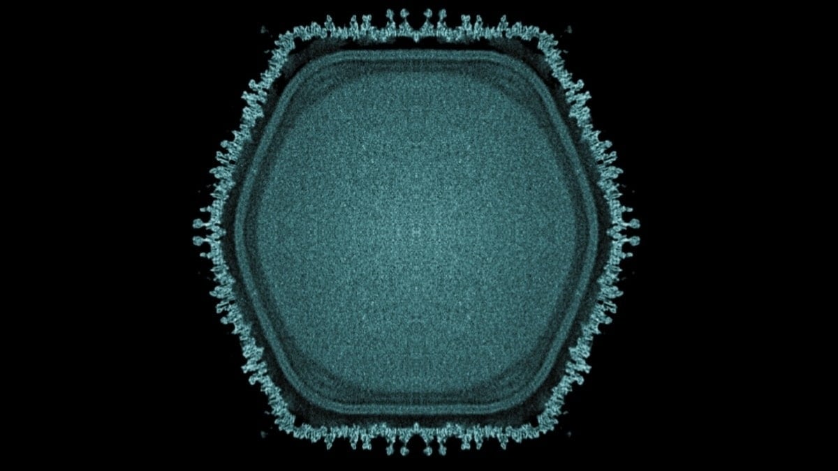 Gölette gizemli dev virüs bulundu: Yaşamın tarihi yeniden yazılıyor