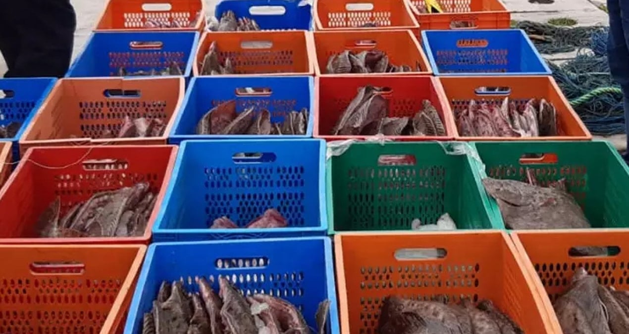 Denizden servetle dönen balıkçılar pişman oldu: Hem ellerindeki gitti, hem dev ceza geldi