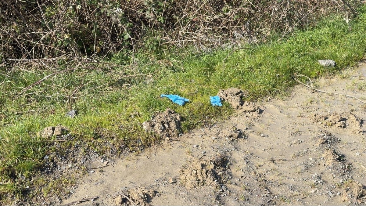 İstanbul'da vahşet! Kayıp Çinli iş insanı toprağa gömülü bulundu