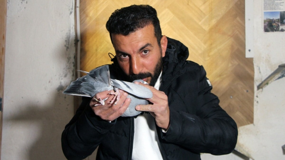 ‘Evladım’ dediği güvercinini bulup getirene 75 bin TL ödül verecek: Getiren kişiyi sorgulamayacağız